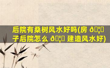 后院有桑树风水好吗(房 🦋 子后院怎么 🦆 建造风水好)